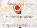 LALOVLIY Magdeburg Trockenblumen