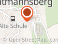 Dalmatiner von Schloß Thiergarten - Petra Jung