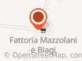Mazzolani Angelo