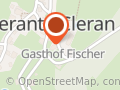 Fischer Georg