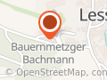 Heinz Bachmann