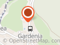 Gardenia
