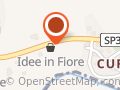 Fiorista - Idee in Fiore