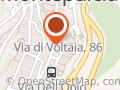 Freedom - moda in libertà