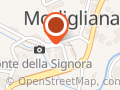 Carroli Gino
