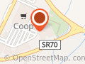 Dott.ssa Sofia Seri Psicologa
