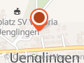 Kleint H.