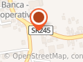 Il Materassificio SRL