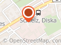 diska Schleiz