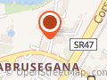 Nicol Dog Sitter Padova