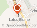 China Restaurant Lotosblume