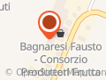 Bagnaresi Fausto - Consorzio tra Produttori