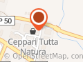 Autofficina Rocchi SNC