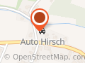 Auto Hirsch