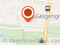 Heilige Birma vom Geigengrund