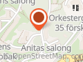 Anitas Salong