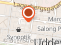 Salong Munken