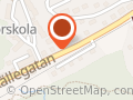 Bohusbuggarna Uddevalla