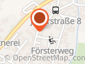 Holz Piraten