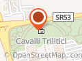 Cavalli Trilitici di Castelfranco Veneto