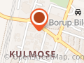 De Grønne Pigespejdere I Borup