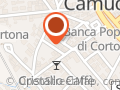 Bassini