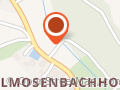 Marions Waldhundeschule