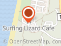 Surfing Lizard - Coogee