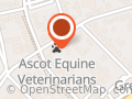Ascot Equine Veterinarians