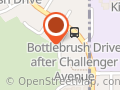 Bottlebrush grace care