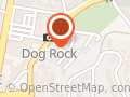 Albany Dog Rock Chemist