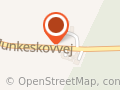 Shamanshoppen