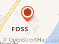 Holdingselskapet Foss AS