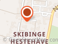 Foli Rengøring