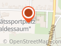 Sportplatz am Waldessaum