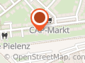 Versteinerte Pflanzen