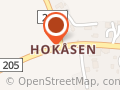 Aase Solvår Ryen