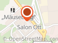 Friseursalon Ott