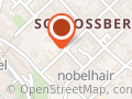 Nobel-Hair Plauen