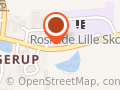 Roskilde Lille Skole Elevtelefon