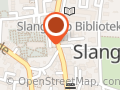 Dit Syn Slangerup