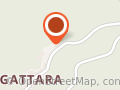 Gattara