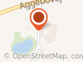 Stenbækgård Palomino Stutteri/Hestepension