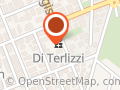 Di Terlizzi SAS