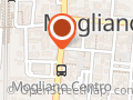 BusForFun Fermata MOGLIANO