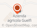 Azienda Agricola Guelfi