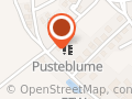 Kindergarten Pusteblume