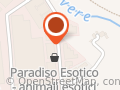Paradiso Esotico