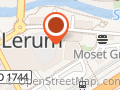Lerums Sjukgymnastik