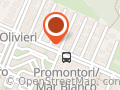 Vip Auto Sdf Di Pallotti B. - Pallotti G. - Volpi V.